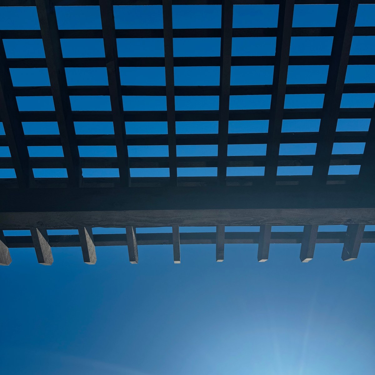 Under the Sky: A Day of&nbsp;Loss