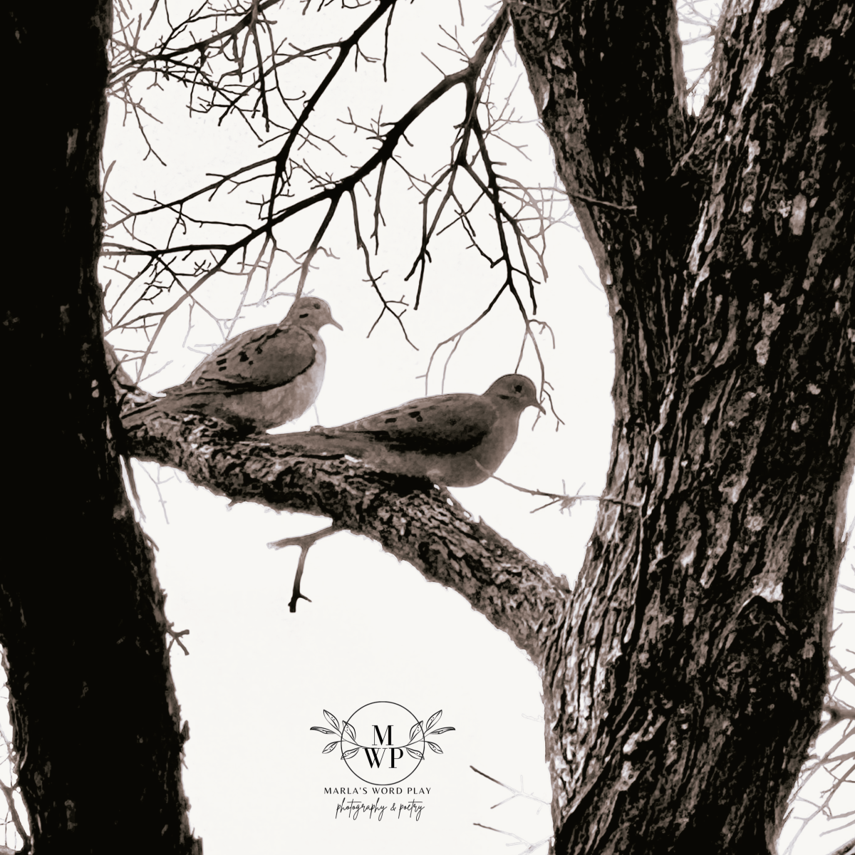 Winter: where art&nbsp;thou?