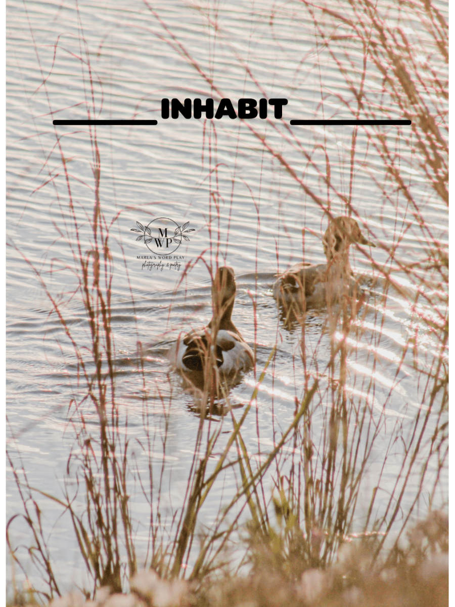 INHABIT – You in&nbsp;Me